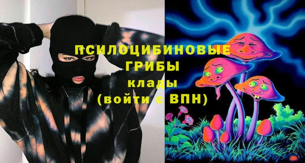 прущая мука Вязники