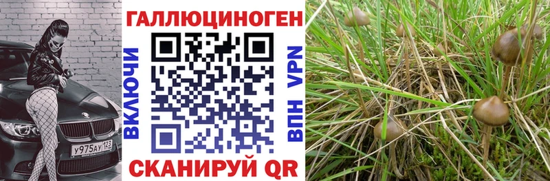 Галлюциногенные грибы GOLDEN TEACHER  ОМГ ОМГ tor  сайты даркнета официальный сайт  Собинка 
